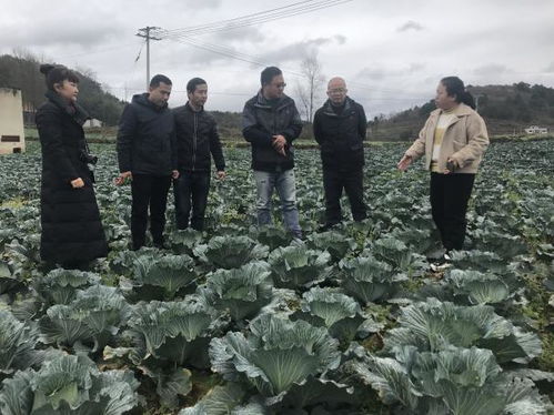 庄行综合试验站 园艺所科研人员赴贵州调研