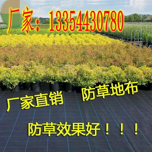 【果园杂草疯长-除草防草布-除草节省人力成本】-