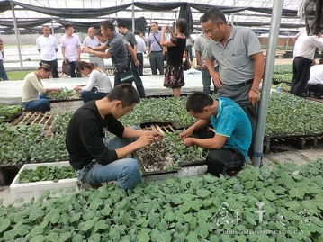 中国.余干新农村建设网