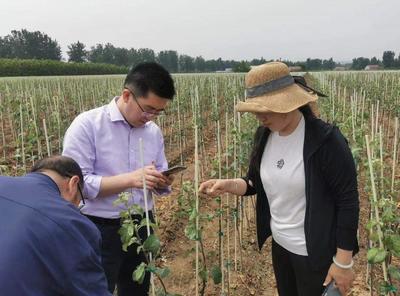 深入田间地头,共话乡村振兴