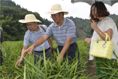 用心用情办实事 科技服务满三湘