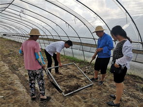 如东县农业农村局种植业条线战高温开展系列志愿服务活动助农增收